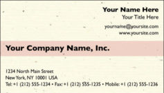 English Business Card Design Template: TXT0006